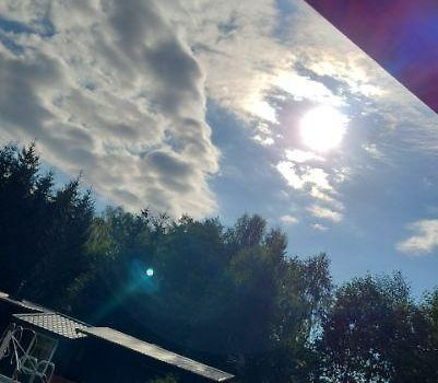 Niebo nad lasem 